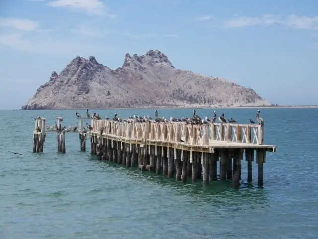 Alguien De Hermosillo, Sonora???