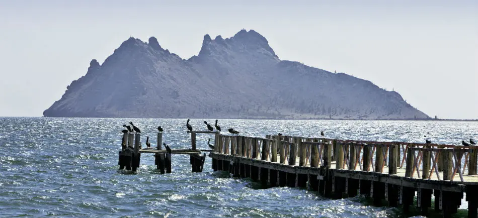 Alguien De Hermosillo, Sonora??? Alguien De Hermosillo, Sonora???
