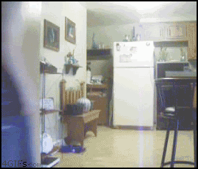 Trolleadas épicas hechas GIF