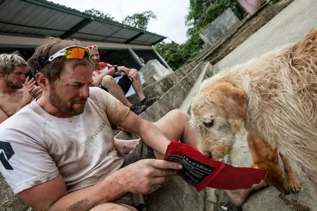 perro perro