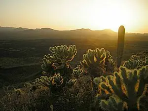 Alguien De Hermosillo, Sonora??? Alguien De Hermosillo, Sonora???