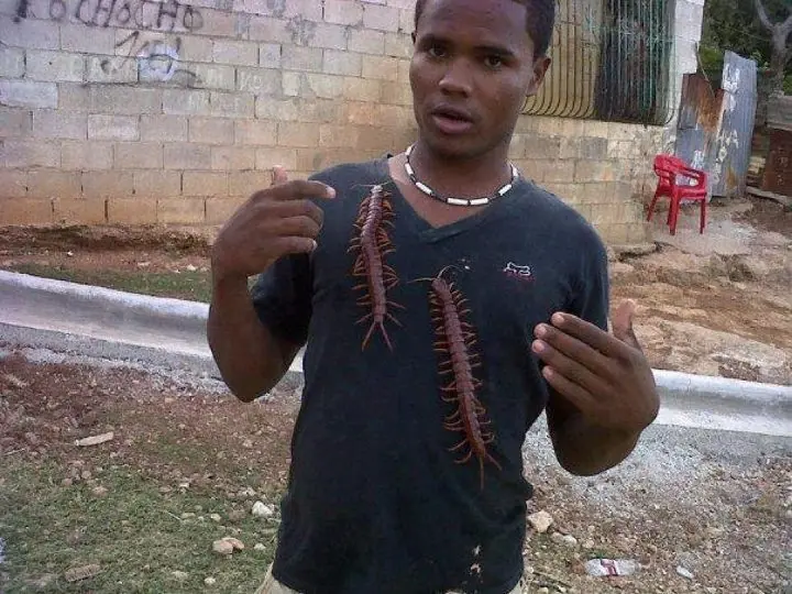 sábado