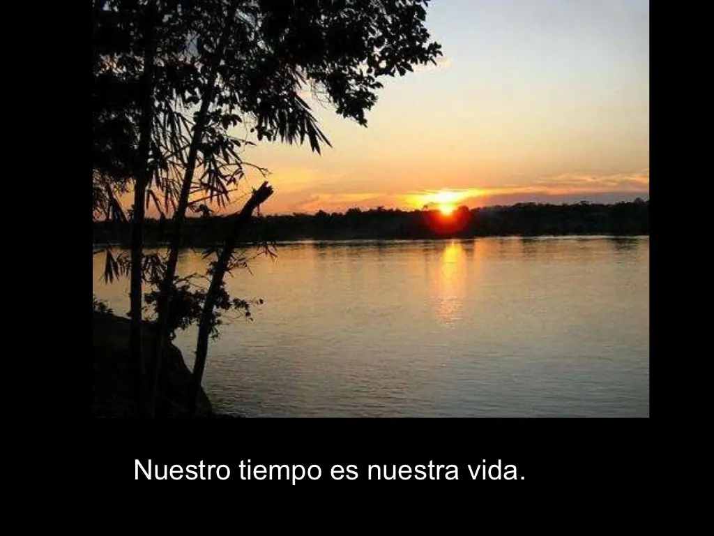 magno