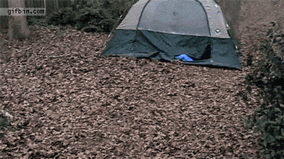 Trolleadas épicas hechas GIF