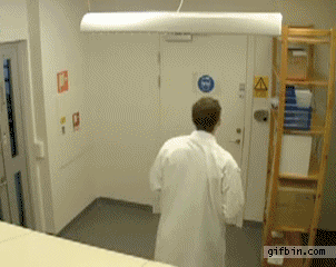 Trolleadas épicas hechas GIF