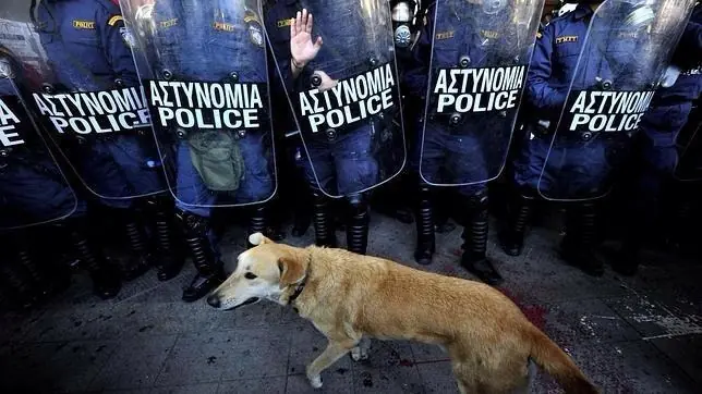 Mira este ejemplo de Perro! Lukánikos Héroe.