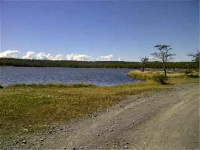 alambrada