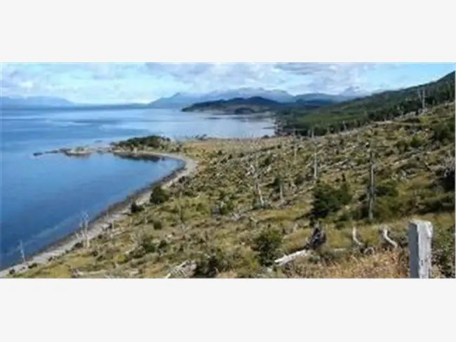 Tierra del Fuego usurpada y alambrada