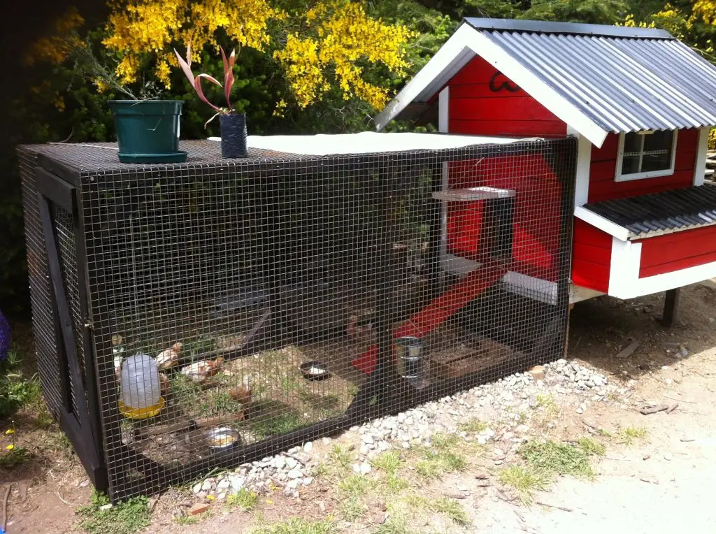 Hazlo tu mismo: Gallinero con Pallets