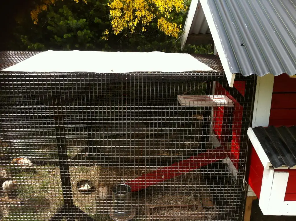 Hazlo tu mismo: Gallinero con Pallets