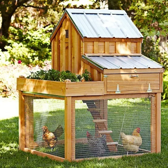 Hazlo tu mismo: Gallinero con Pallets