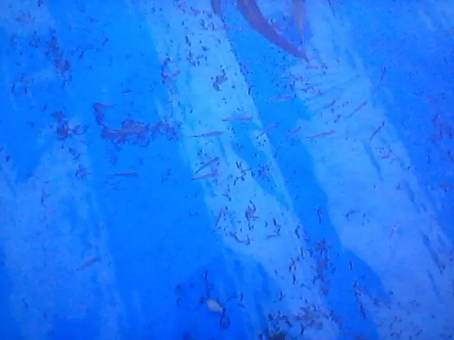 como armar un estanque