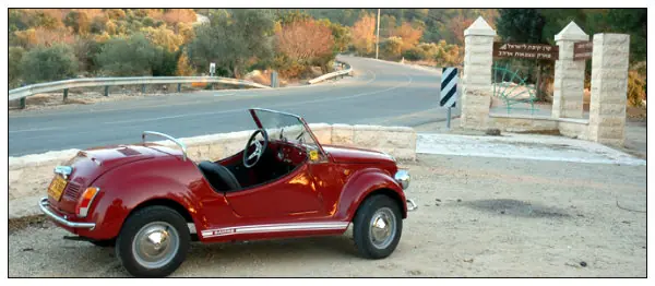 Vignale
