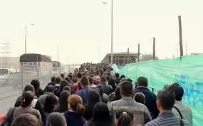 migrantes