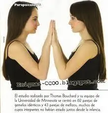 Los Gemelos idénticos y su conexión psíquica