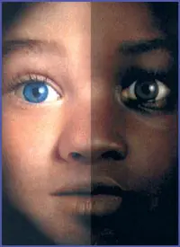 racismo y la discriminacion racial