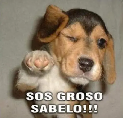 viejos viejos