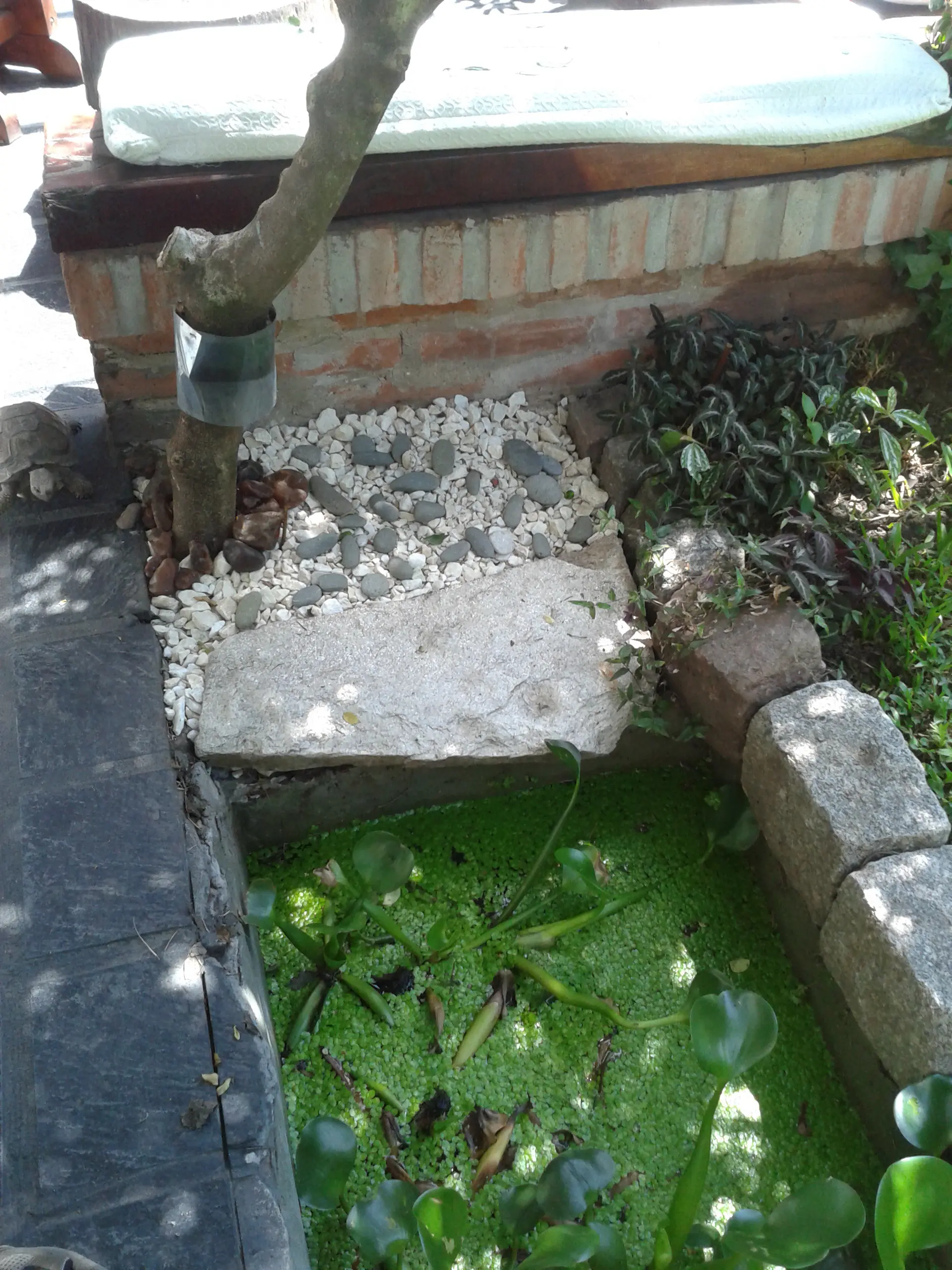 jardin