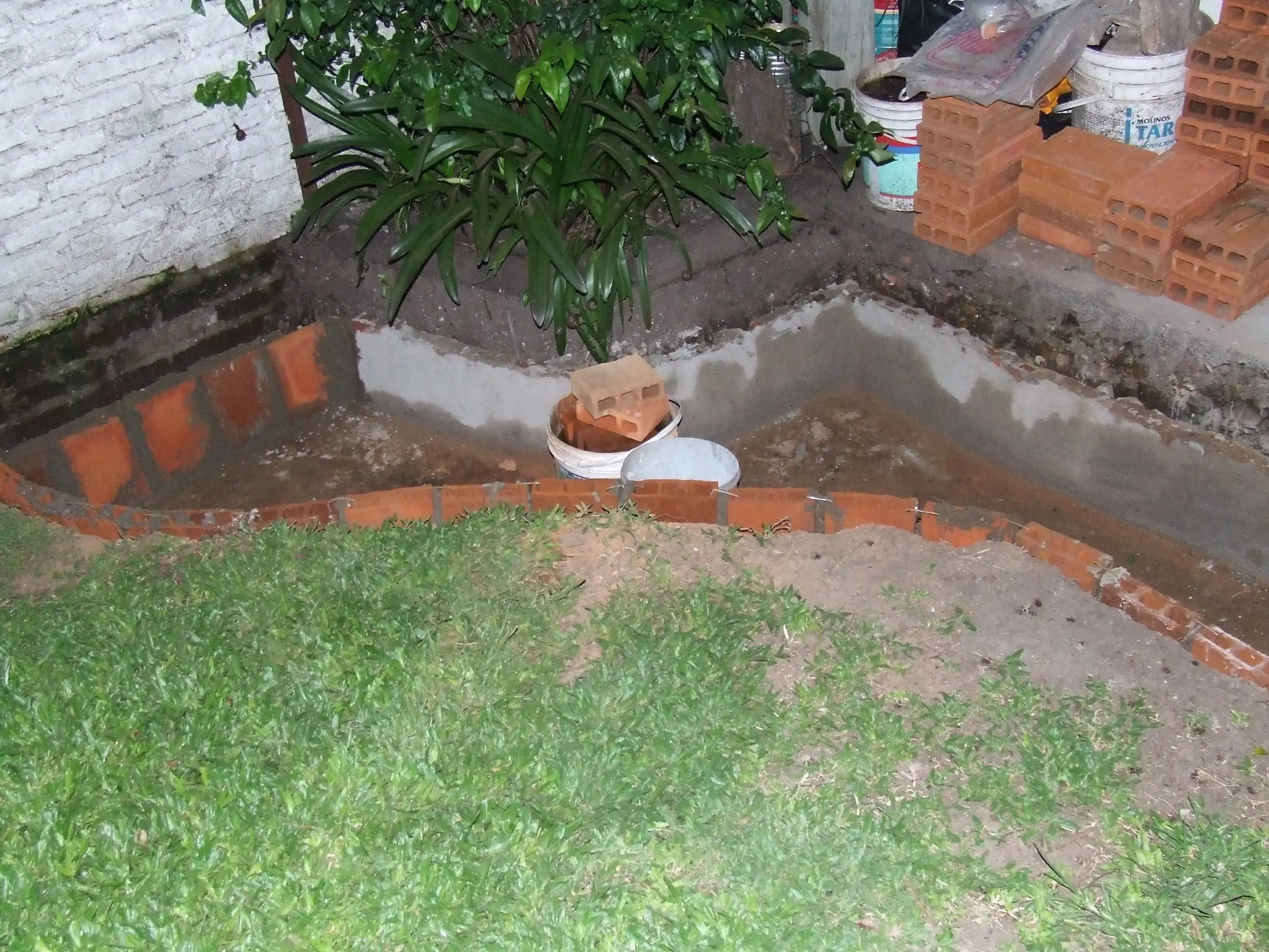 jardin