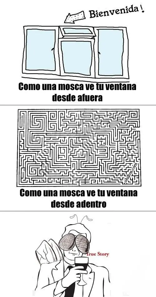 Meme Hits (para no parar de reirse) [Giga Post 2]