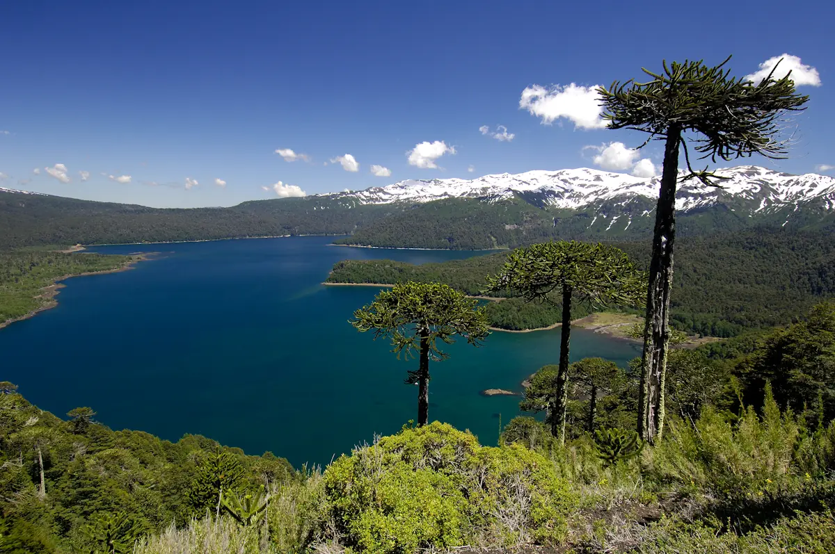 chile