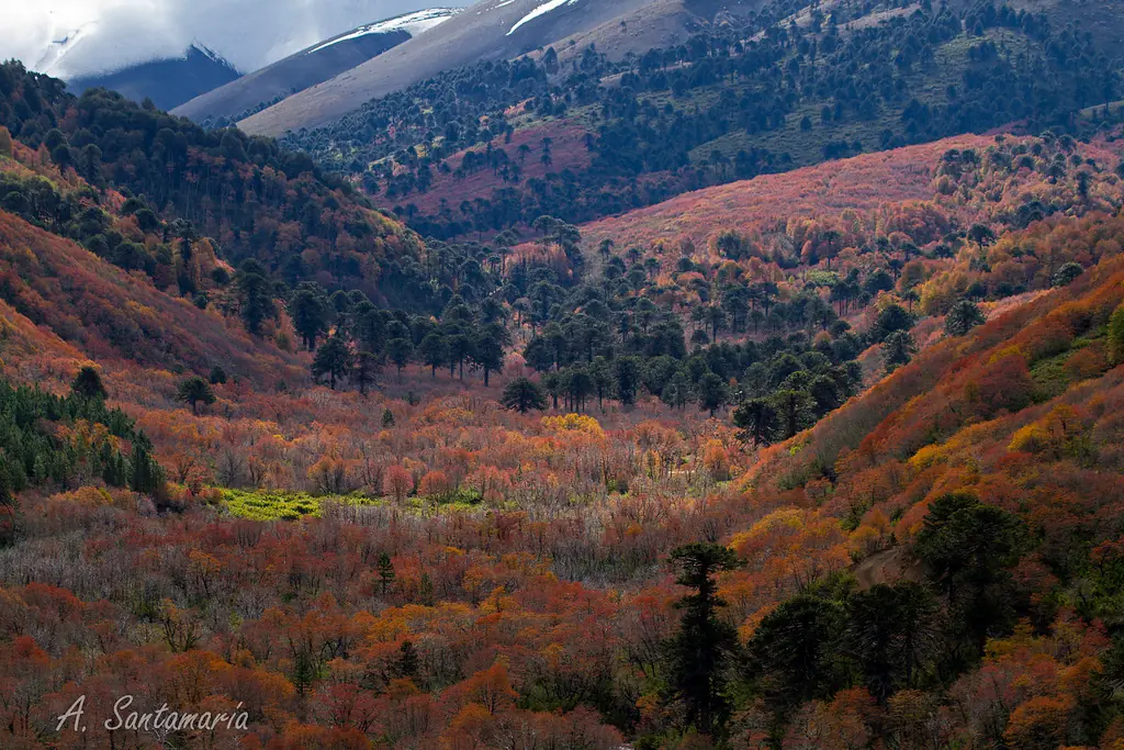 paisajes de chile