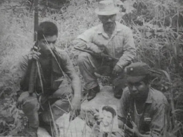 La Guerrilla en México, breve Historia (60's - 90's)