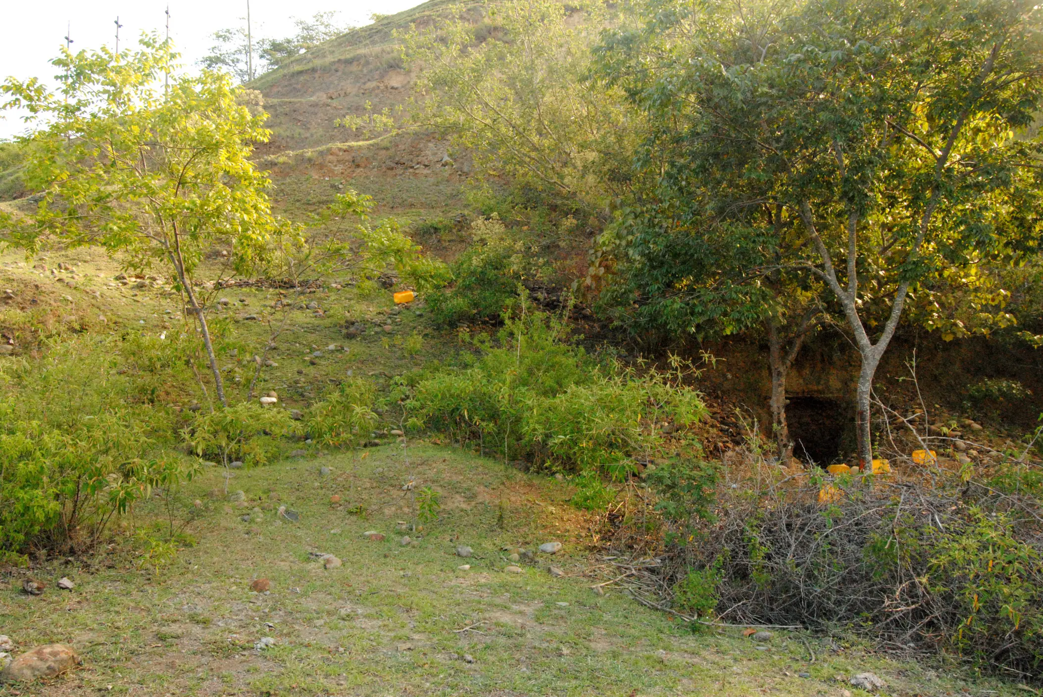 "Oro Verde" (minería)