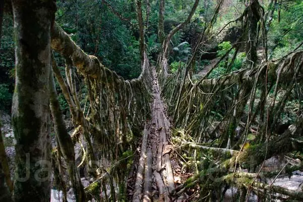 Carrie Howard (Remake) (3/3)