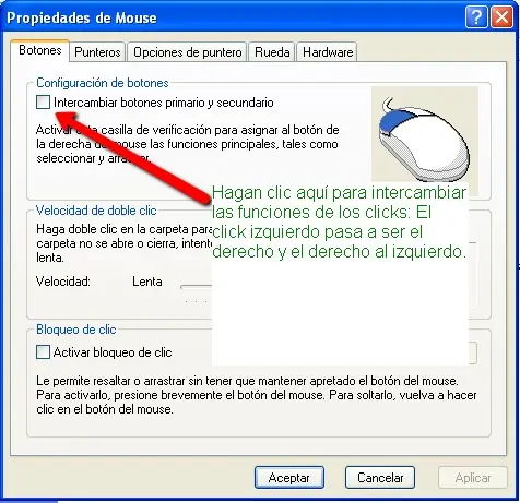 Windows Windows