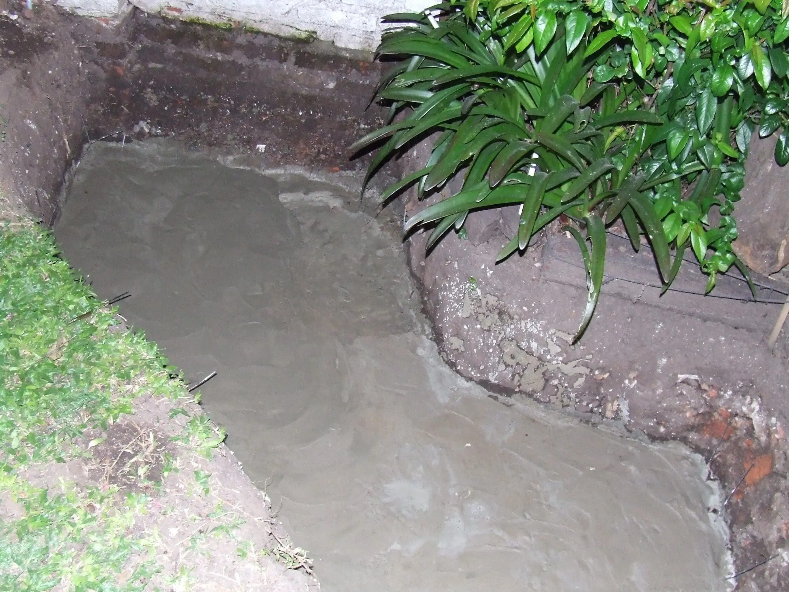 jardin