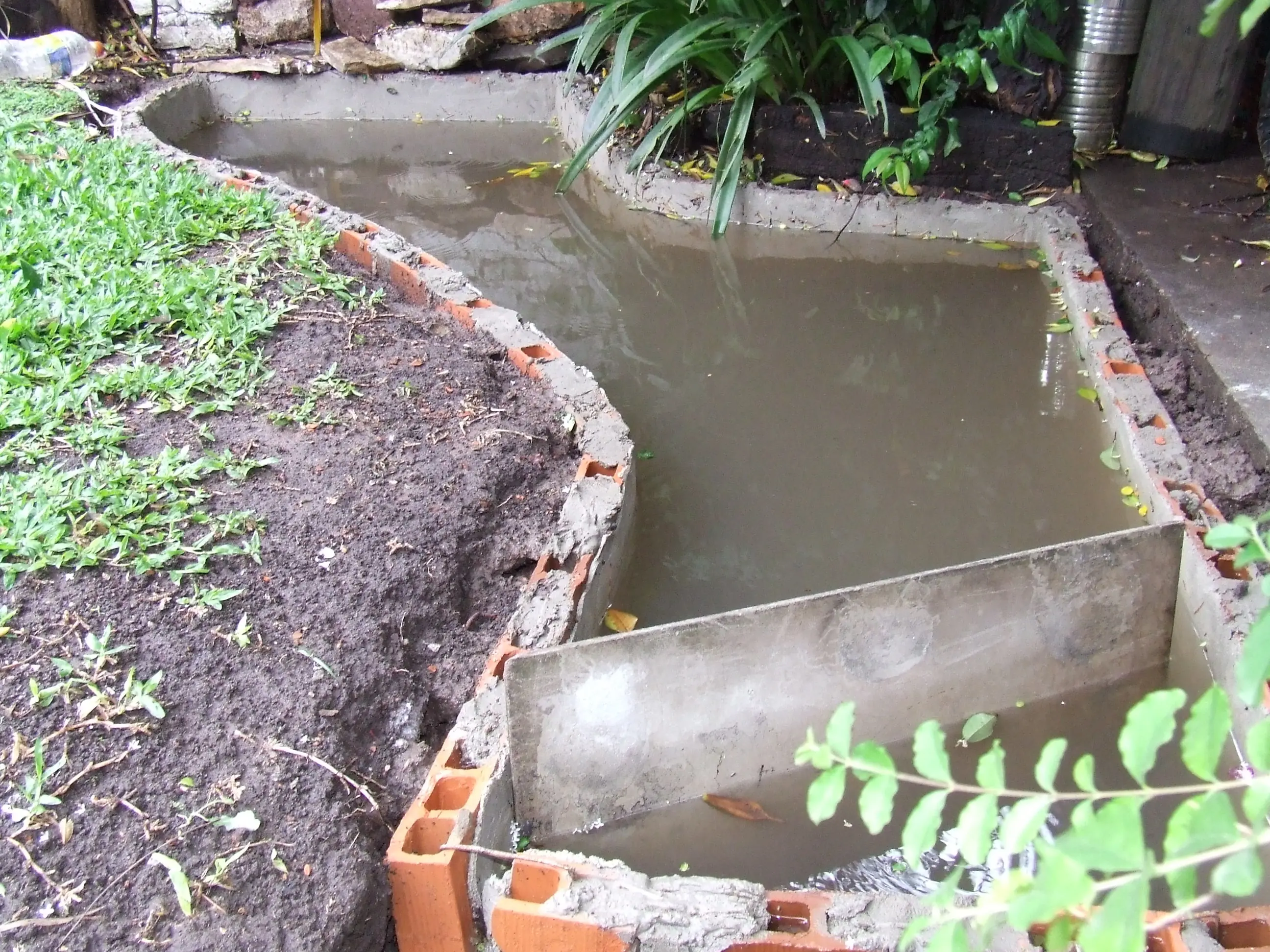 jardin