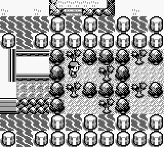 Algunas curiosidades de pokemon