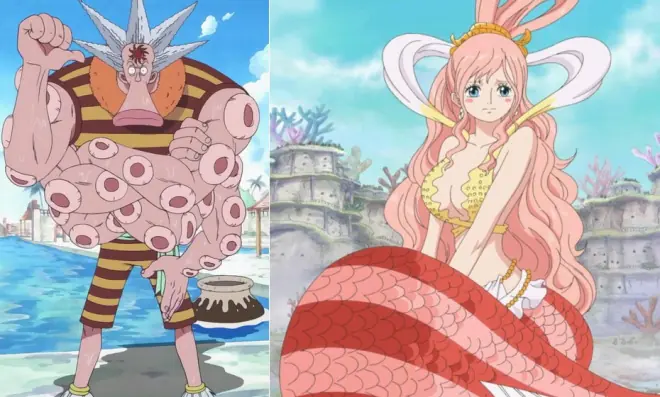 one piece one piece