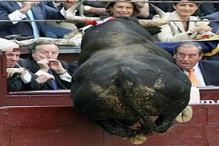 imagenes chistosas