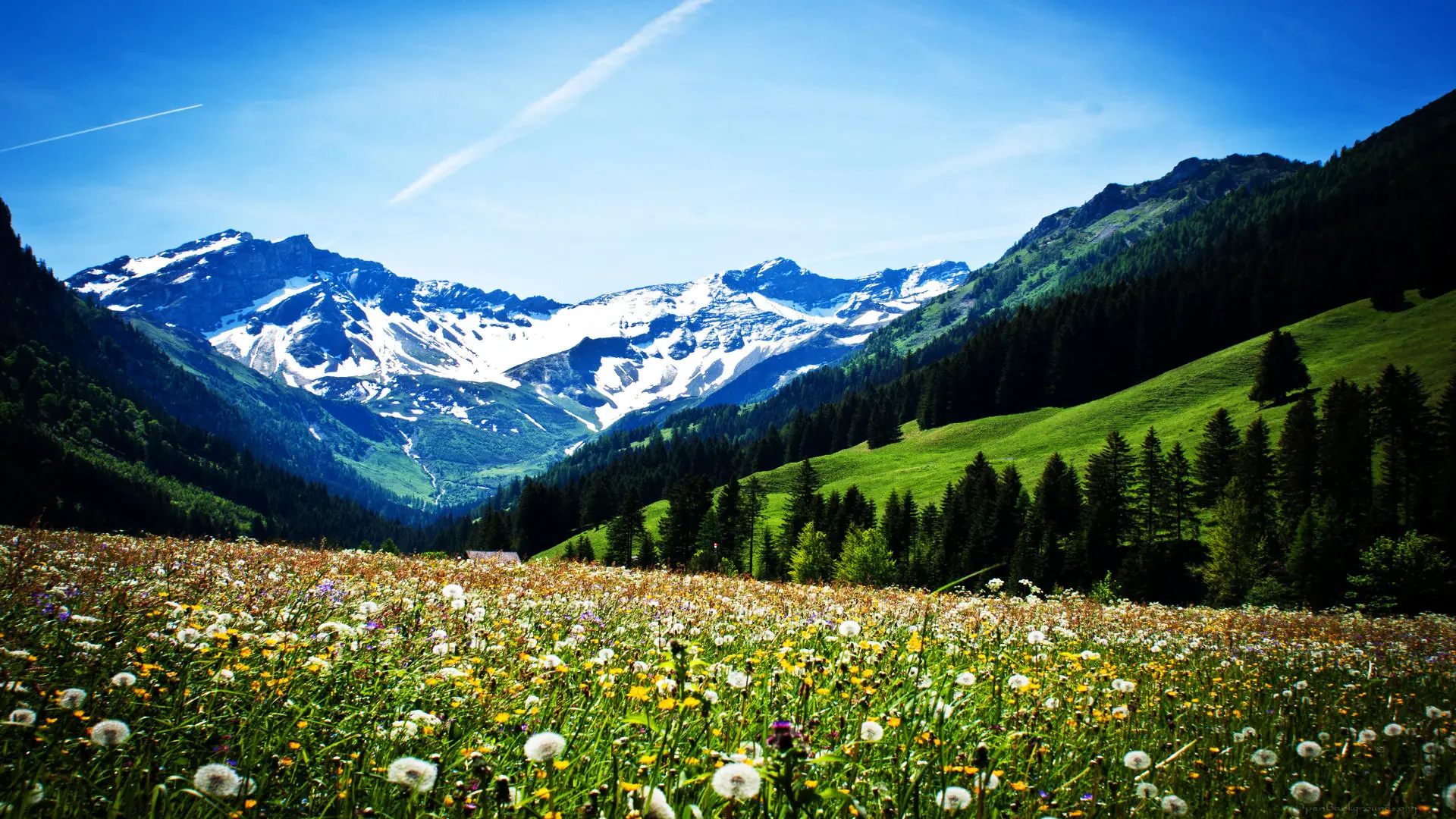 paisajes