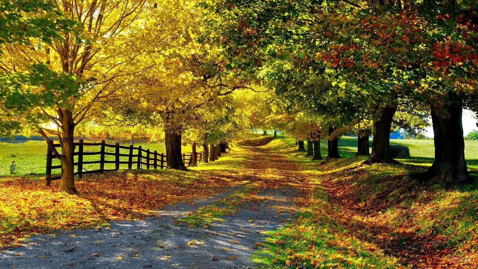 paisajes