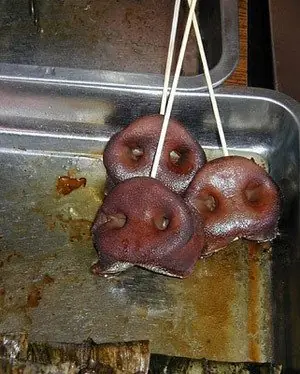platillos por el mundo