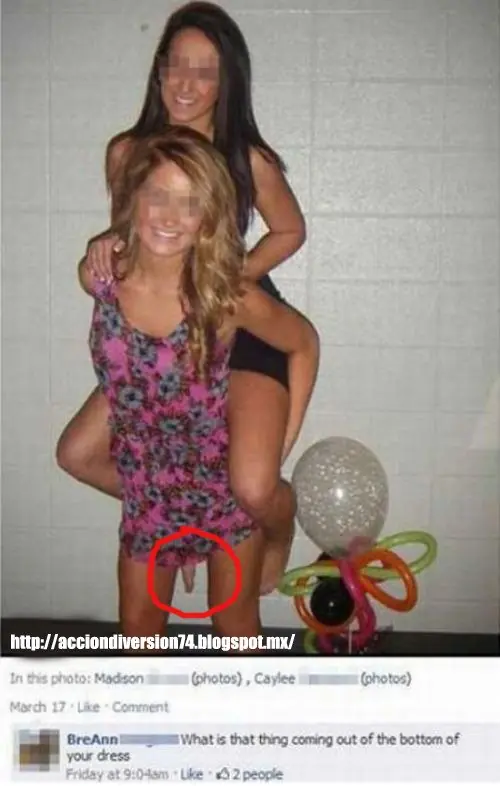 Imagenes graciosas