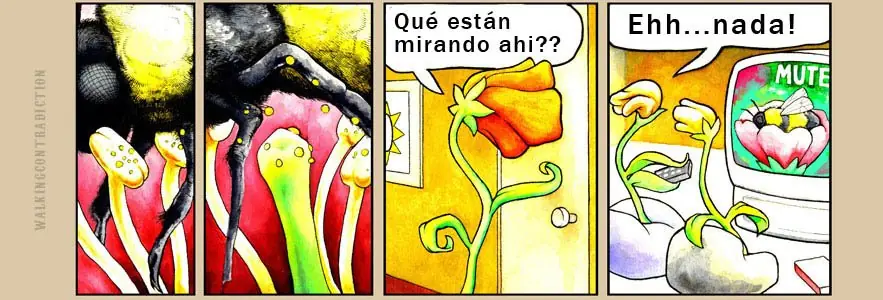 +5 Si te reís, +10 Si denuncias