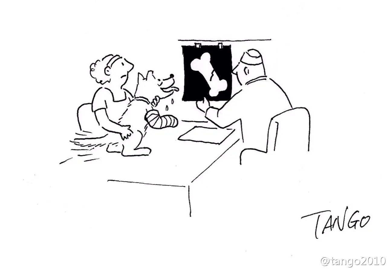 19 caricaturas simples que tendrás que ver mas de una vez