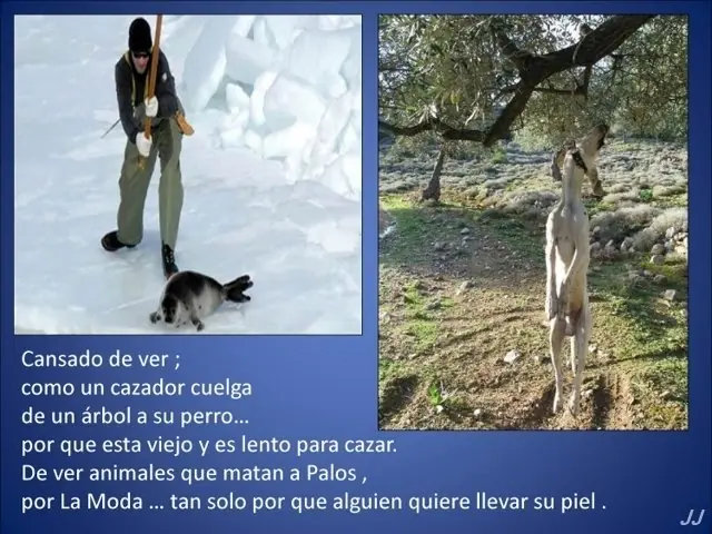 Mundo