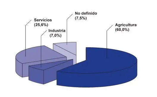 educacion educacion
