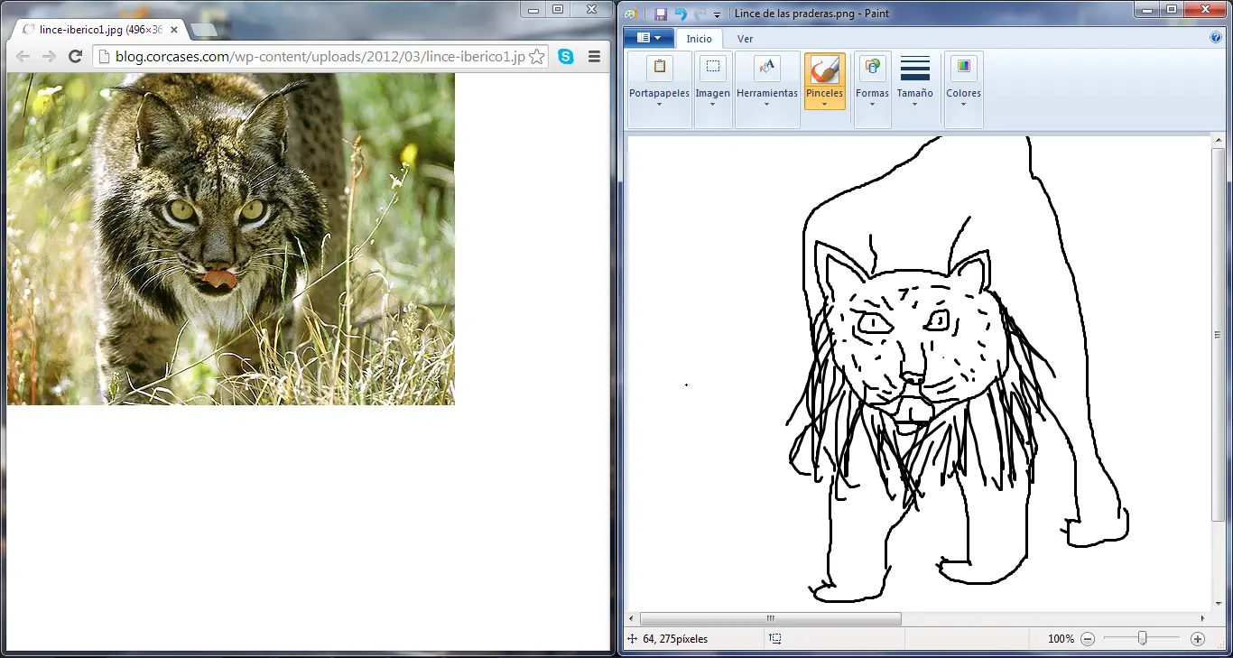 Me dibuje un lince en paint y te lo muestro