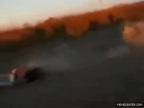 Con un gif, te cagas de la risa (Y todo hecho por mi)