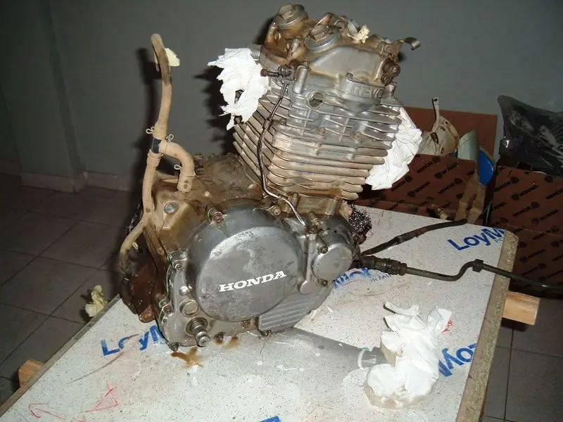 restauracion