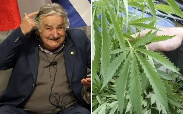 Pepe Mujica termina su mandato, el post que se merece. Pepe Mujica termina su mandato, el post que se merece.