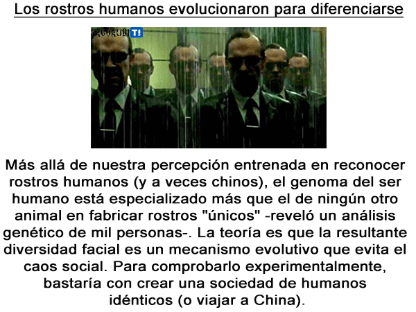 ciencia