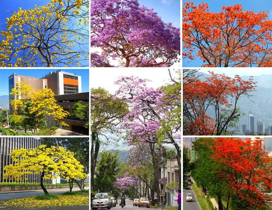 antioquia