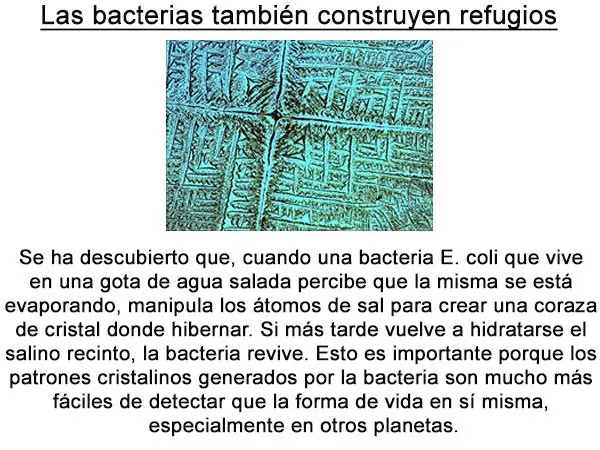 Inventos y descubrimientos científicos del 2014